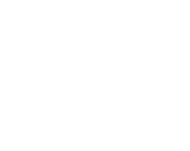 VoIPenAI